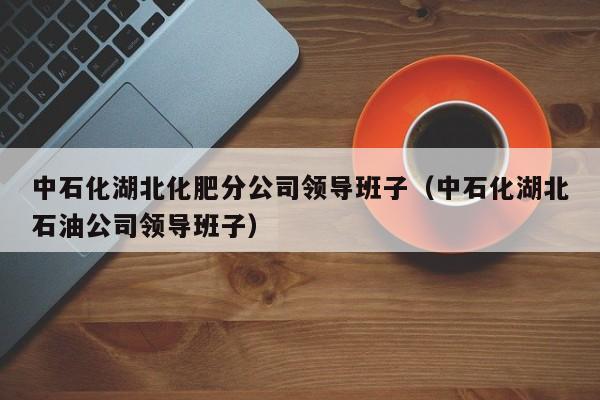 中石化湖北化肥分公司领导班子（中石化湖北石油公司领导班子）