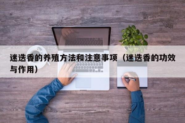 迷迭香的养殖方法和注意事项（迷迭香的功效与作用）