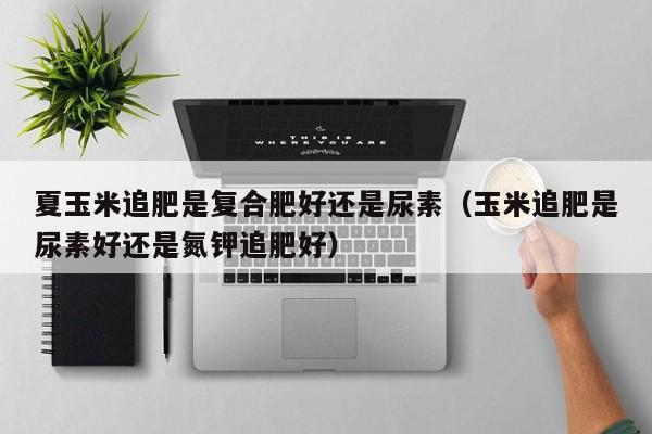 夏玉米追肥是复合肥好还是尿素（玉米追肥是尿素好还是氮钾追肥好）