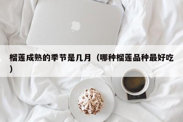 榴莲成熟的季节是几月（哪种榴莲品种最好吃）
