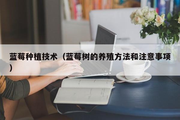 蓝莓种植技术（蓝莓树的养殖方法和注意事项）