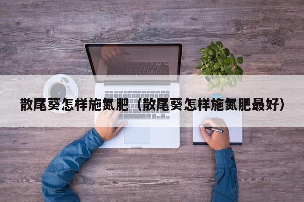 散尾葵怎样施氮肥（散尾葵怎样施氮肥最好）