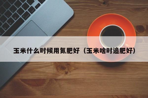 玉米什么时候用氮肥好（玉米啥时追肥好）