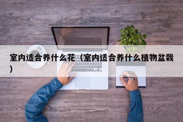 室内适合养什么花（室内适合养什么植物盆栽）