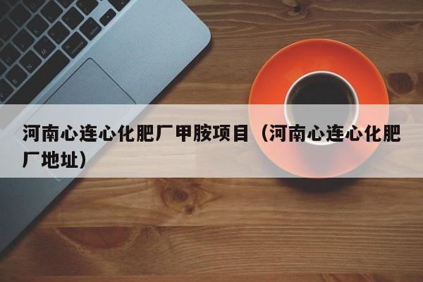 河南心连心化肥厂甲胺项目（河南心连心化肥厂地址）