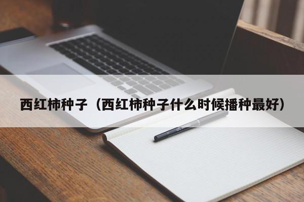 西红柿种子（西红柿种子什么时候播种最好）