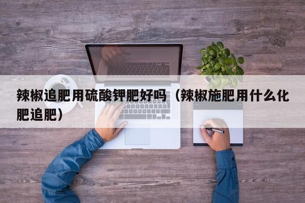 辣椒追肥用硫酸钾肥好吗（辣椒施肥用什么化肥追肥）