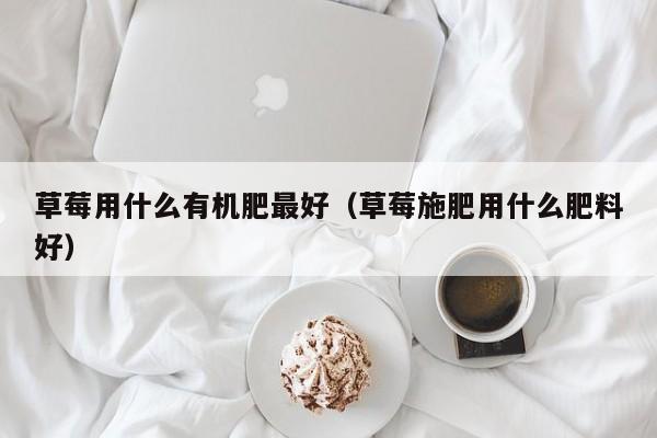 草莓用什么有机肥最好（草莓施肥用什么肥料好）