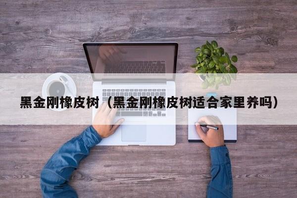 黑金刚橡皮树（黑金刚橡皮树适合家里养吗）