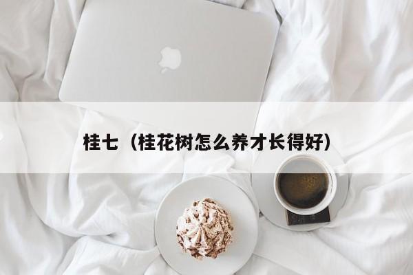 桂七（桂花树怎么养才长得好）