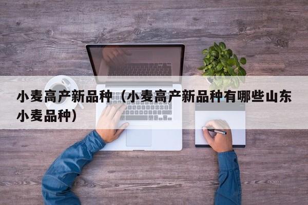 小麦高产新品种（小麦高产新品种有哪些山东小麦品种）