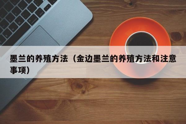 墨兰的养殖方法（金边墨兰的养殖方法和注意事项）