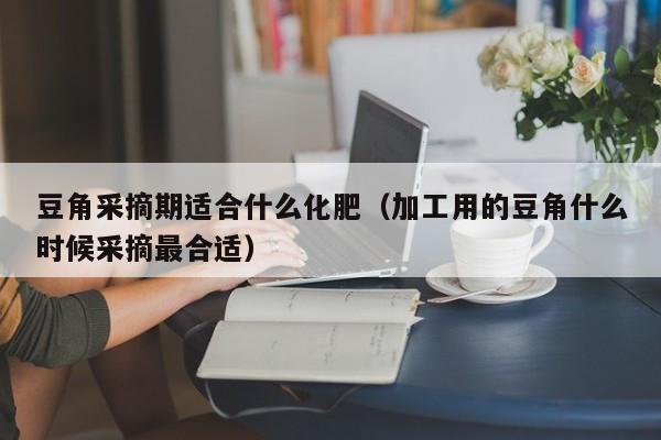 豆角采摘期适合什么化肥（加工用的豆角什么时候采摘最合适）