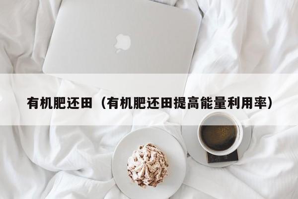 有机肥还田（有机肥还田提高能量利用率）