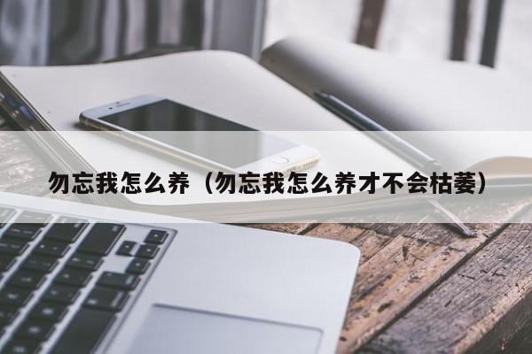 勿忘我怎么养（勿忘我怎么养才不会枯萎）