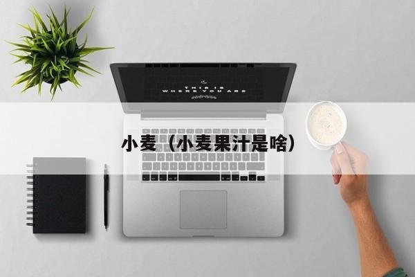 小麦（小麦果汁是啥）