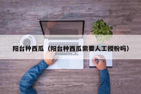 阳台种西瓜（阳台种西瓜需要人工授粉吗）