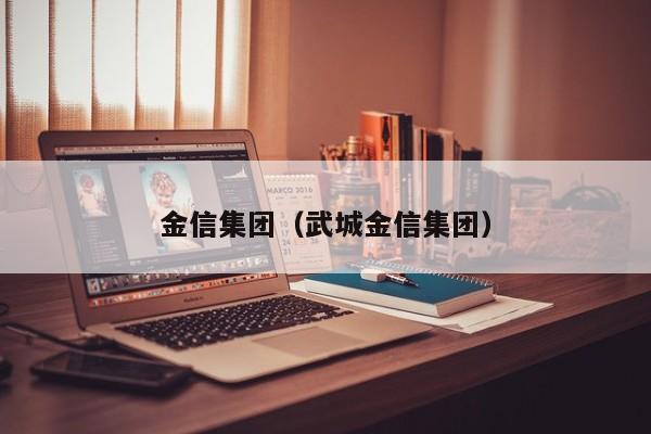 金信集团（武城金信集团）