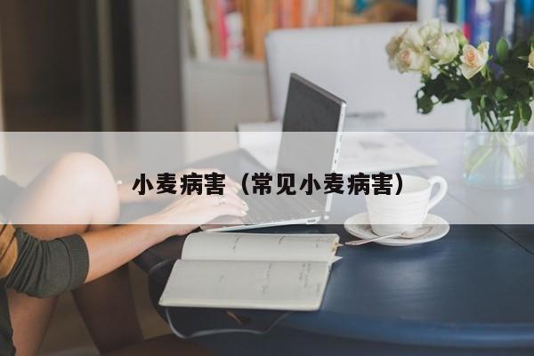小麦病害（常见小麦病害）