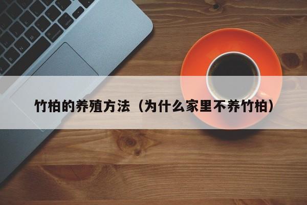 竹柏的养殖方法（为什么家里不养竹柏）
