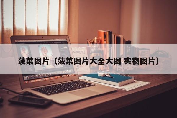 菠菜图片（菠菜图片大全大图 实物图片）