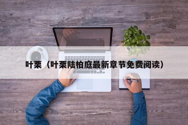 叶栗（叶栗陆柏庭最新章节免费阅读）