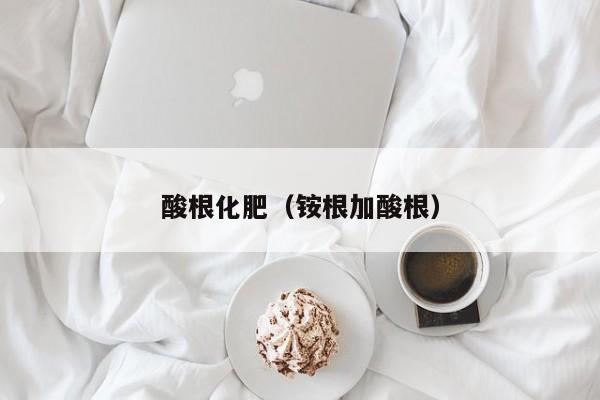 酸根化肥（铵根加酸根）