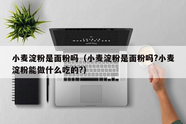 小麦淀粉是面粉吗（小麦淀粉是面粉吗?小麦淀粉能做什么吃的?）