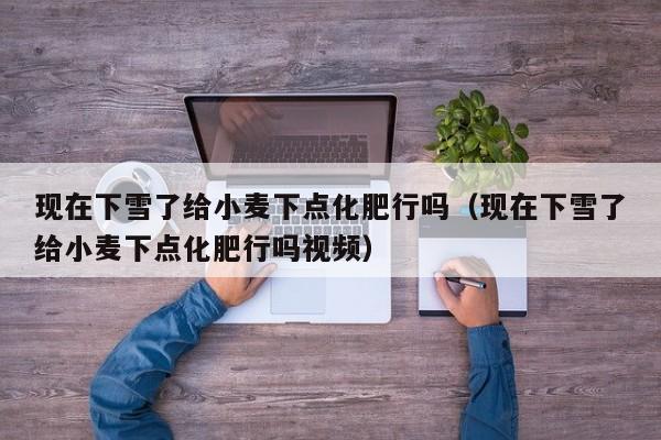 现在下雪了给小麦下点化肥行吗（现在下雪了给小麦下点化肥行吗视频）
