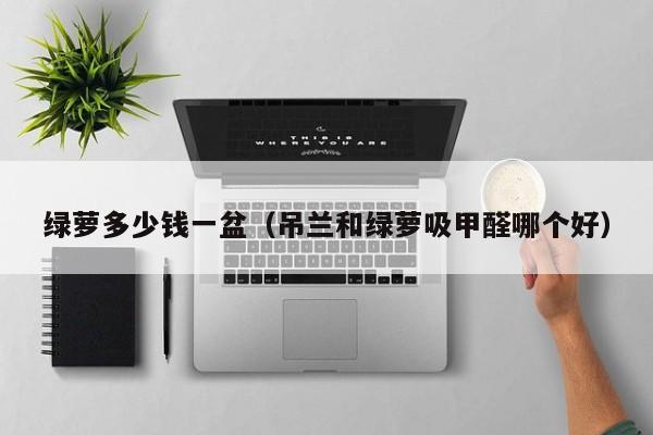 绿萝多少钱一盆（吊兰和绿萝吸甲醛哪个好）