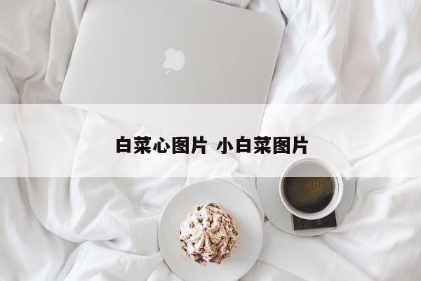 白菜心图片 小白菜图片