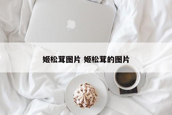 姬松茸图片 姬松茸的图片