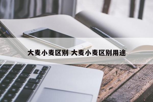 大麦小麦区别 大麦小麦区别用途