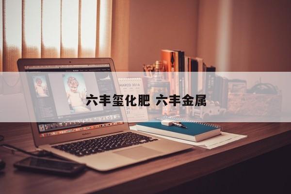 六丰玺化肥 六丰金属