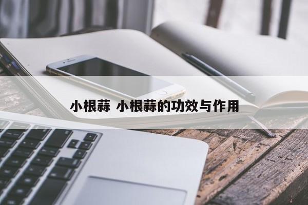 小根蒜 小根蒜的功效与作用