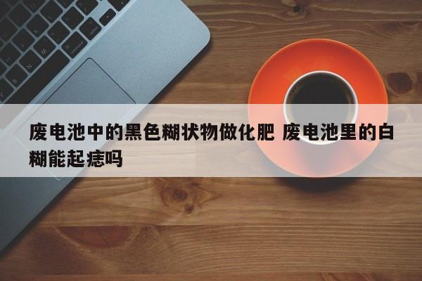 废电池中的黑色糊状物做化肥 废电池里的白糊能起痣吗