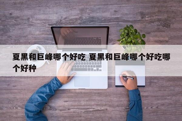 夏黑和巨峰哪个好吃 夏黑和巨峰哪个好吃哪个好种