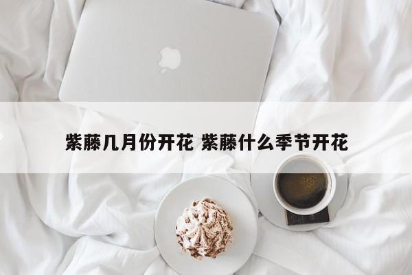 紫藤几月份开花 紫藤什么季节开花