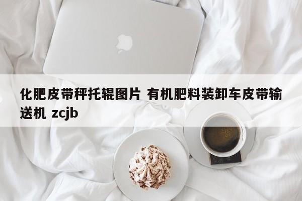 化肥皮带秤托辊图片 有机肥料装卸车皮带输送机 zcjb
