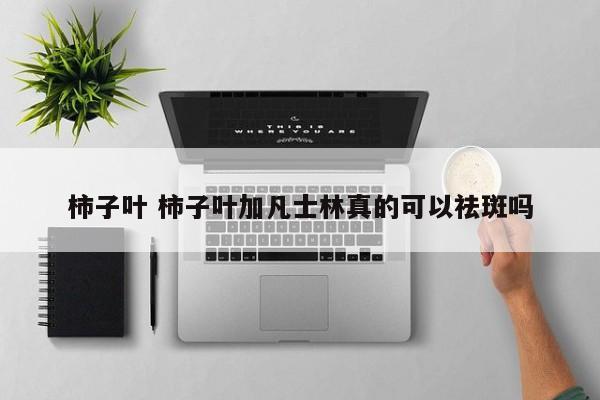 柿子叶 柿子叶加凡士林真的可以祛斑吗