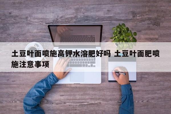 土豆叶面喷施高钾水溶肥好吗 土豆叶面肥喷施注意事项