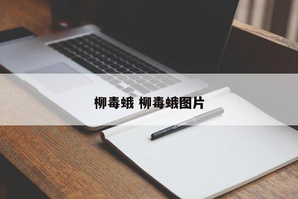 柳毒蛾 柳毒蛾图片