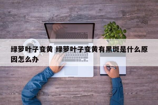 绿萝叶子变黄 绿萝叶子变黄有黑斑是什么原因怎么办