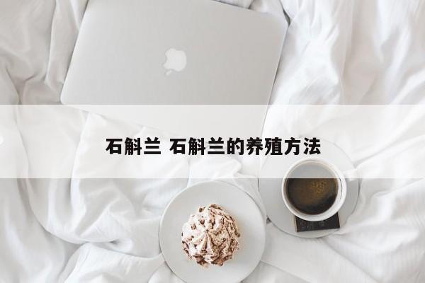 石斛兰 石斛兰的养殖方法
