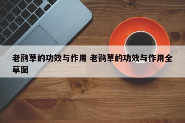 老鹳草的功效与作用 老鹳草的功效与作用全草图