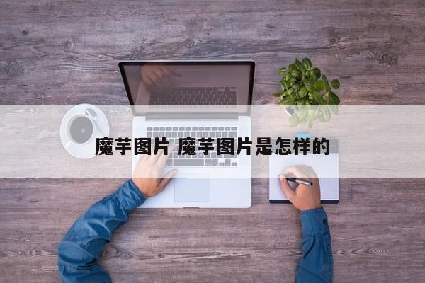 魔芋图片 魔芋图片是怎样的