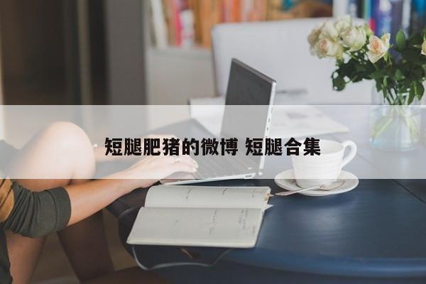 短腿肥猪的微博 短腿合集