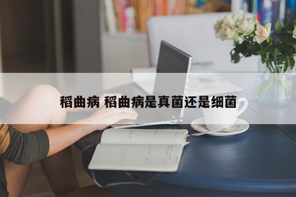 稻曲病 稻曲病是真菌还是细菌