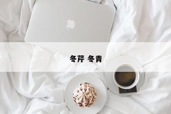 冬芹 冬青