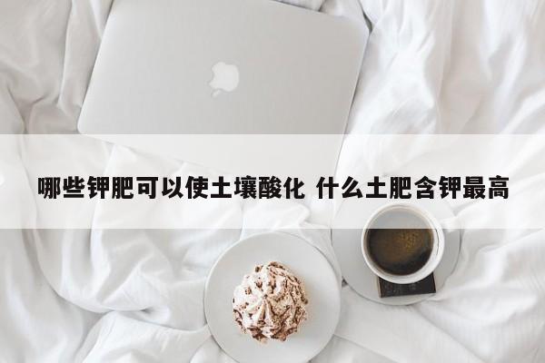 哪些钾肥可以使土壤酸化 什么土肥含钾最高
